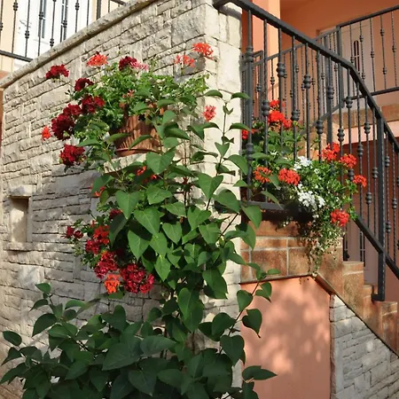 Secret Garden Guest house *