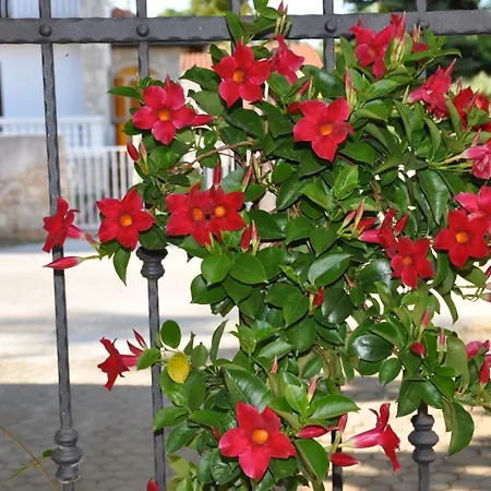 Guest house Secret Garden